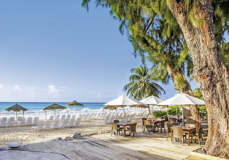 Bougainvillea Barbados 31