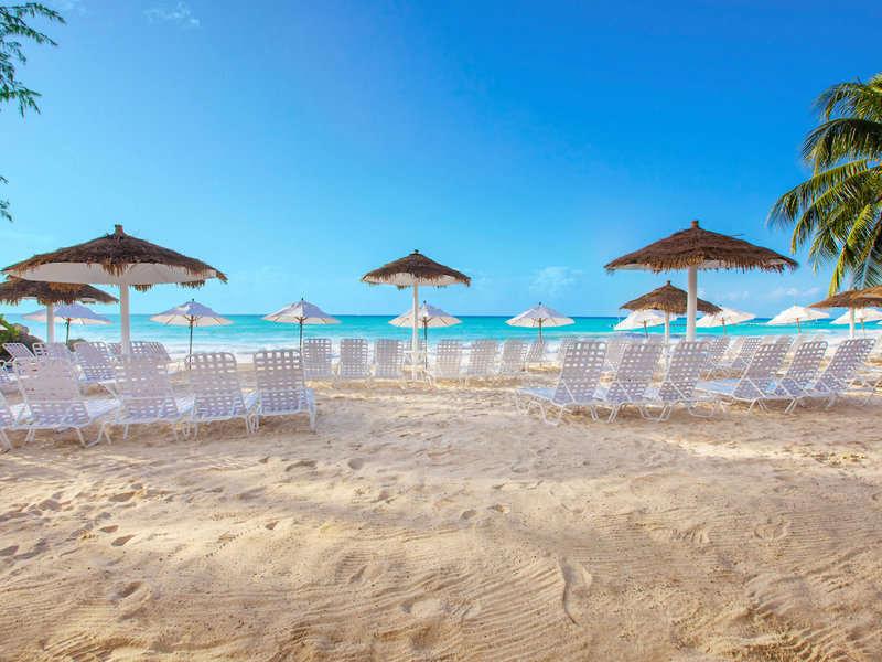 Bougainvillea Barbados 3