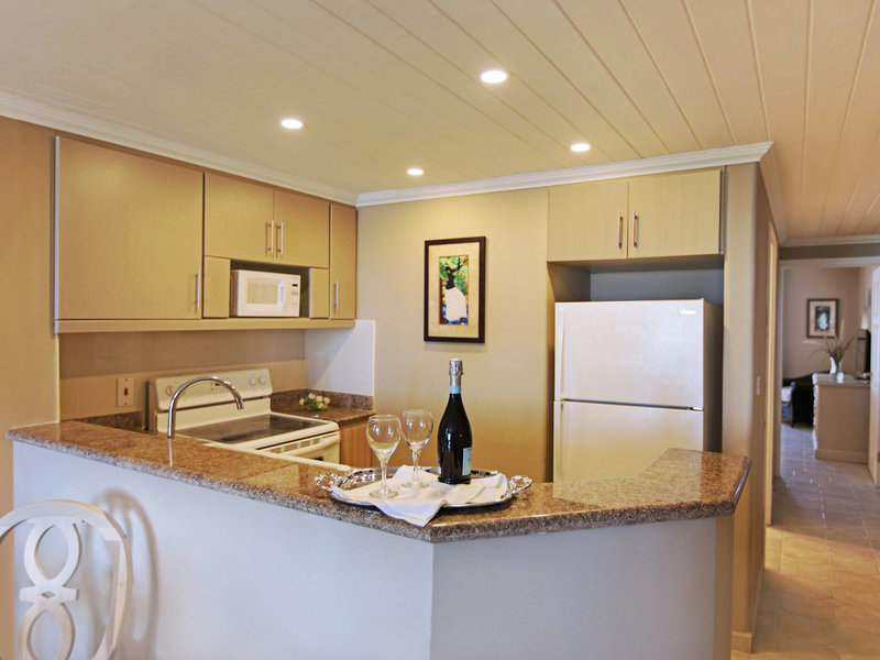 Bougainvillea Barbados 23