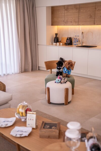 Club Arona by Laren Hotels 113