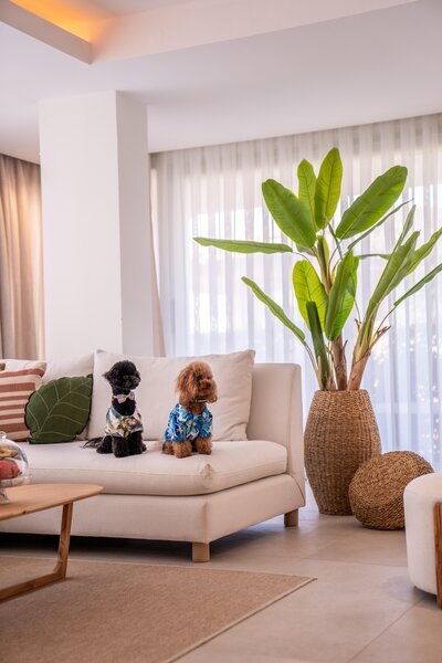 Club Arona by Laren Hotels 115