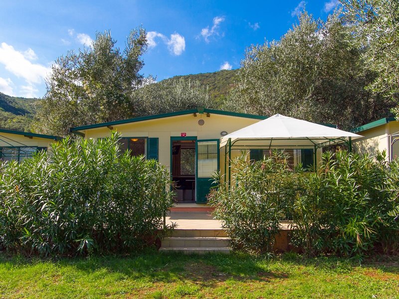 Oliva Camping 2