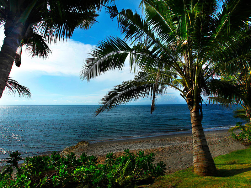 Puri Bagus Lovina 11