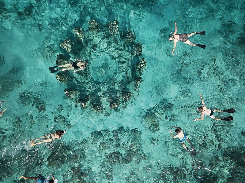 Bask Gili Meno 8