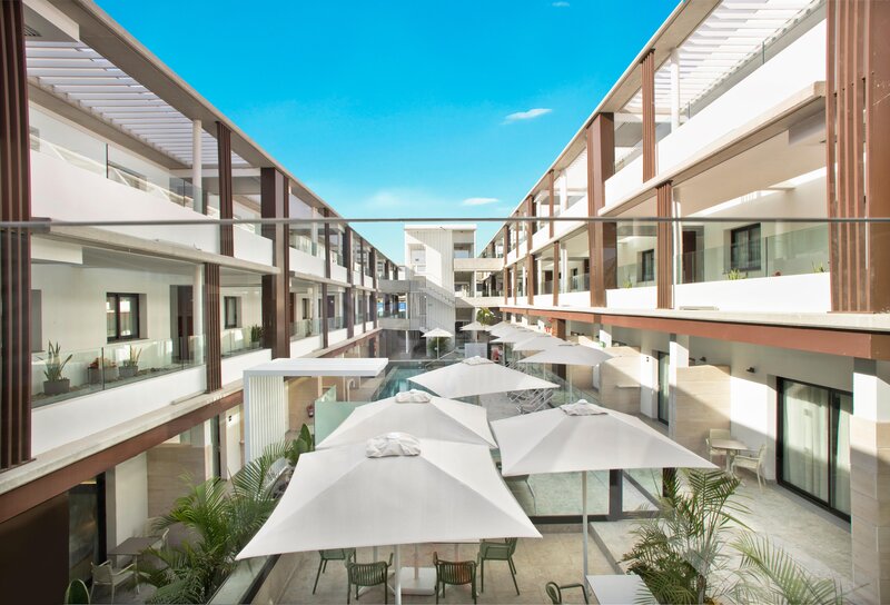 Coral Cotillo Reef 7