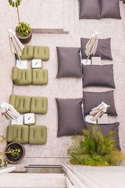 Coral Cotillo Reef 21