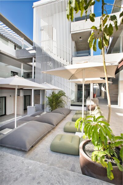 Coral Cotillo Reef 22