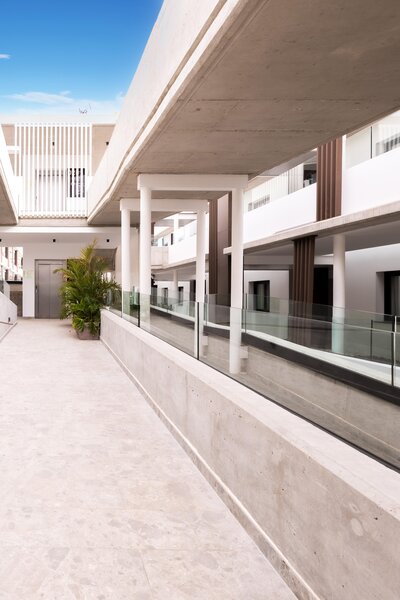 Coral Cotillo Reef 27