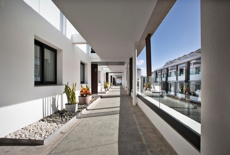 Coral Cotillo Reef 34