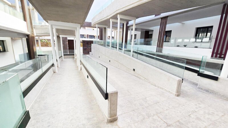 Coral Cotillo Reef 41