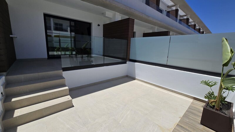 Coral Cotillo Reef 82