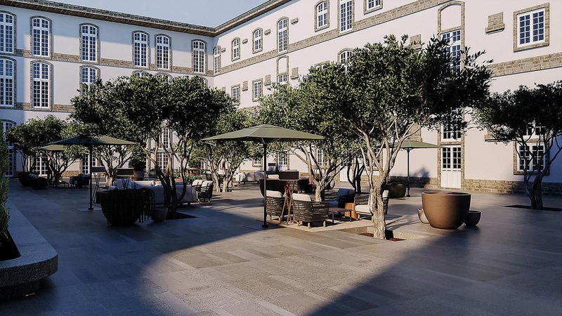 The Lince Santa Clara 10