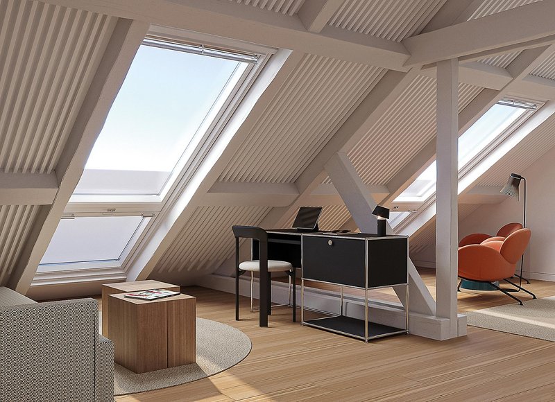 The Lince Santa Clara 23