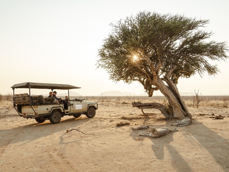 Last Word Madikwe 3