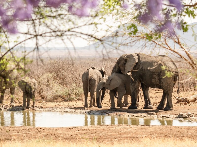 Last Word Madikwe 10
