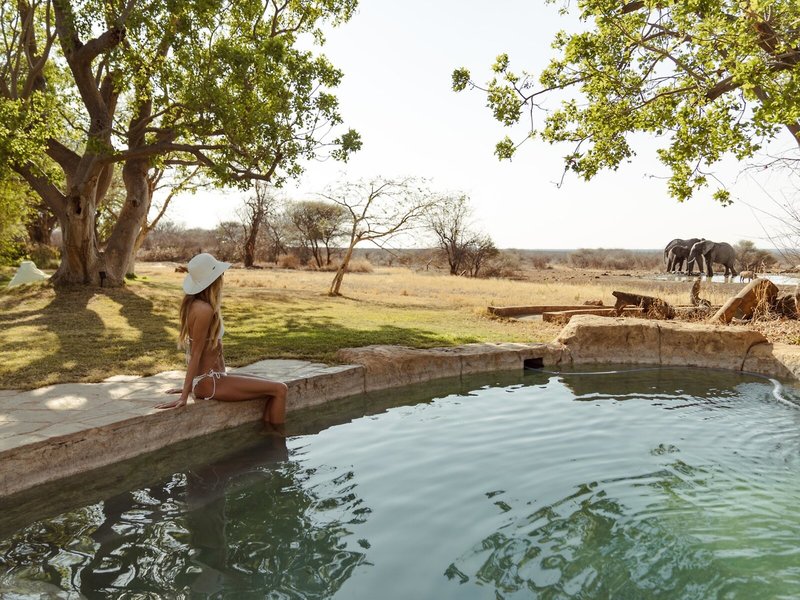 Last Word Madikwe 13