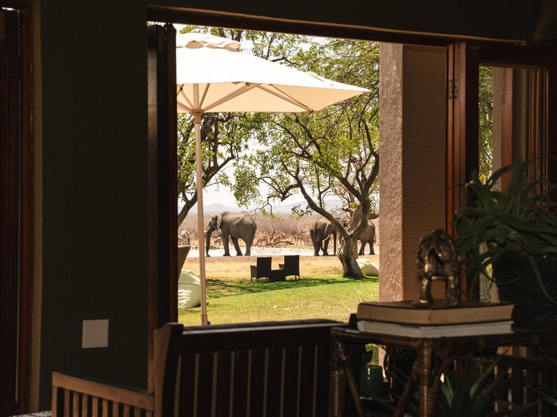 Last Word Madikwe 17