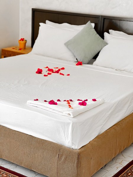 Guest House Qodwa 29