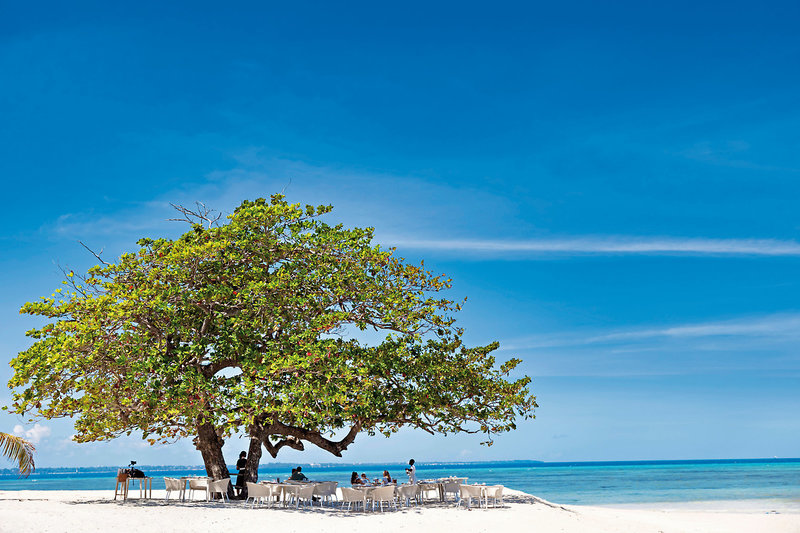 Bawe Tropical Island 22