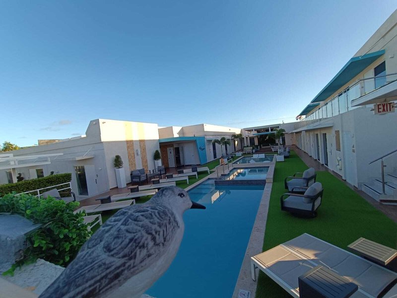Aruba Boutique & Art Hotel, BW Signature Collection 14