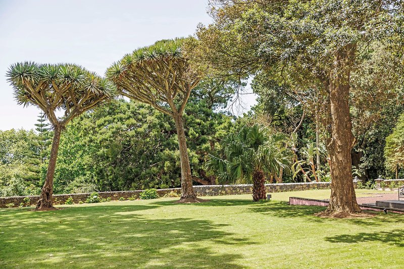 Solar dos Cantos Botanic House & Garden 19