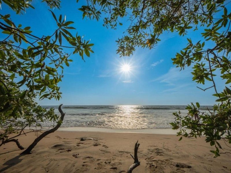 Villas VR Beachwalk Avellanas 2