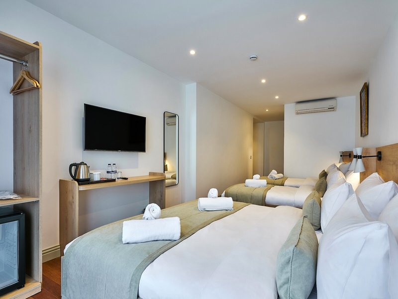 Joyway Hotels Istanbul Sultanahmet 9
