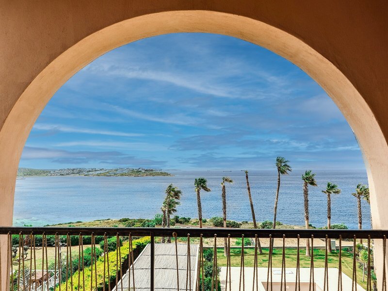 Ulmo Collection Ayasaranda 9