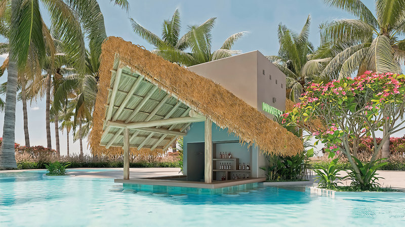 Dreams Playa Esmeralda Resort & Spa 1