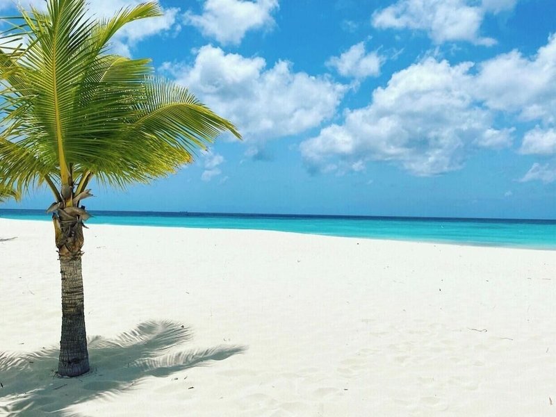 Central Boutique Hotel Aruba 6