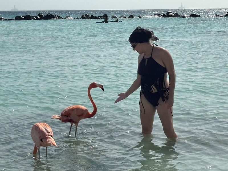 Central Boutique Hotel Aruba 10