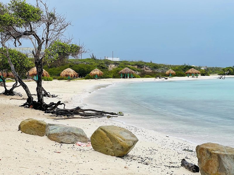 Central Boutique Hotel Aruba 13