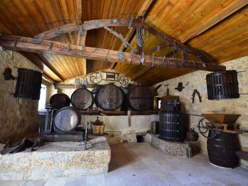 Quinta De Santa Comba 10
