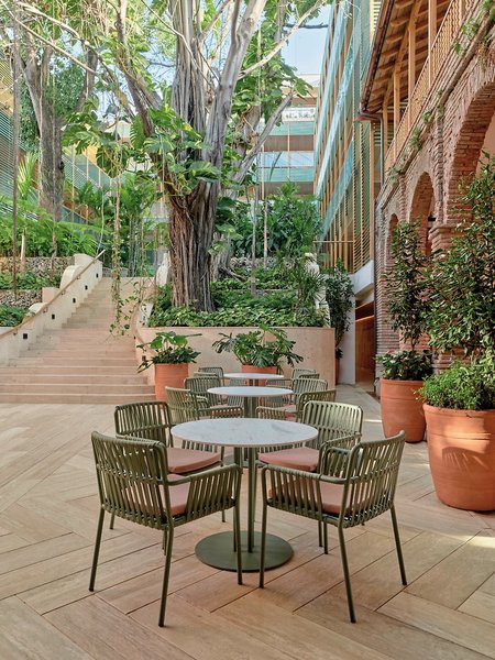 Kimpton Las Mercedes 21