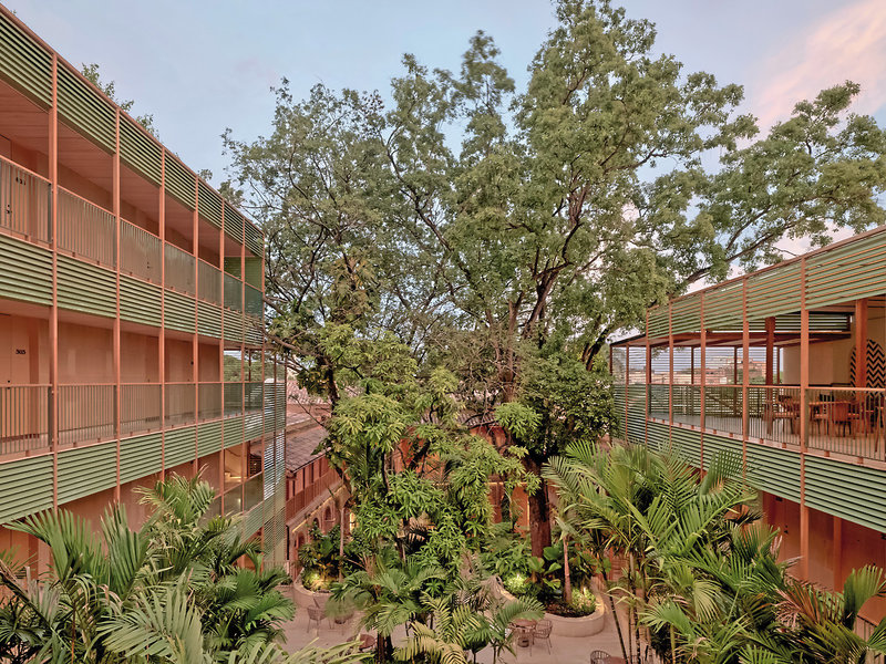 Kimpton Las Mercedes 22