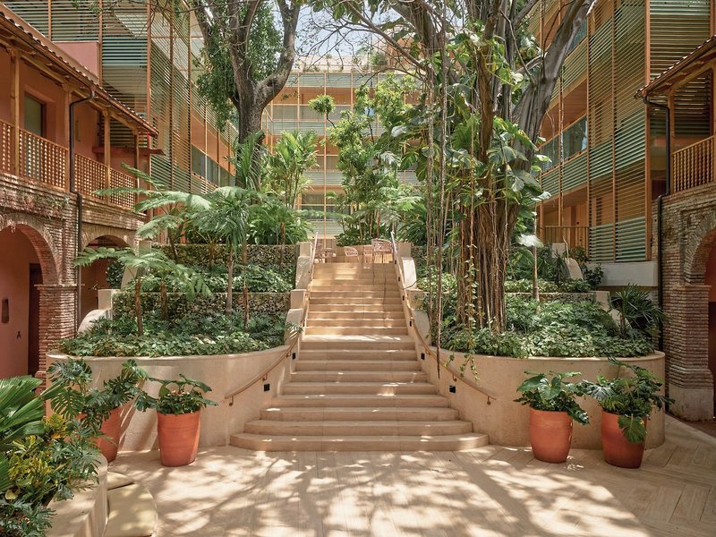 Kimpton Las Mercedes 23