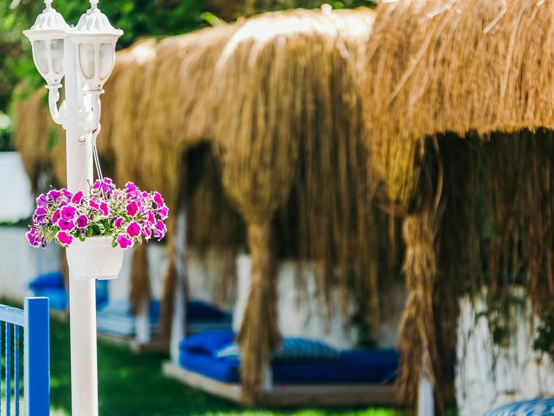 Montaverde Hotel & Villas 6