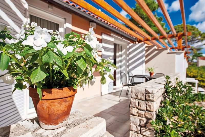 Zaton Holiday Resort 12