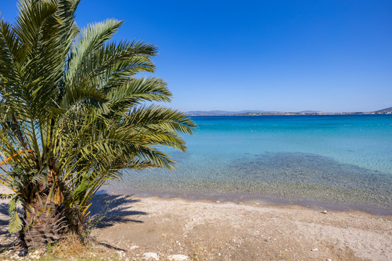 Sisus Marina Hotel 11