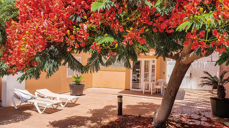 Apartamentos Horizonte 7