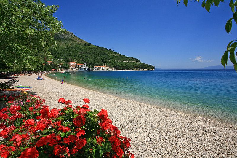Bella Vista 9