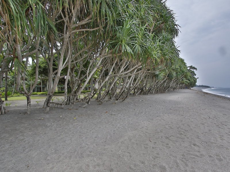 The Jayakarta Lombok Beach Resort & Spa 7
