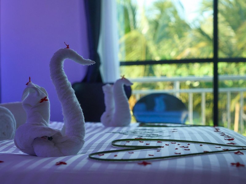 Canary Hotel & SPA 21