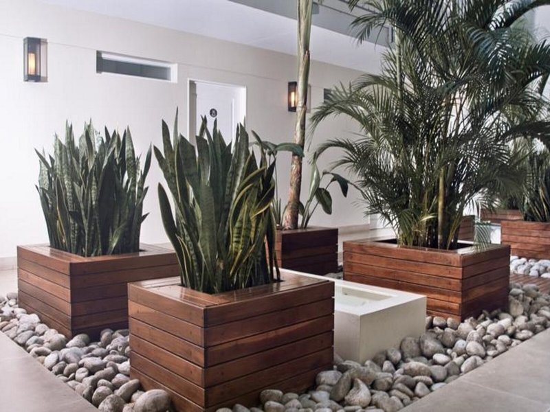 Nuss Hotel Buenos Aires Soho 4
