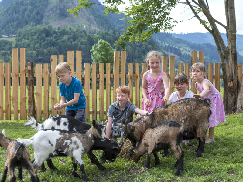 Landhotel Lerch Plankenau 36