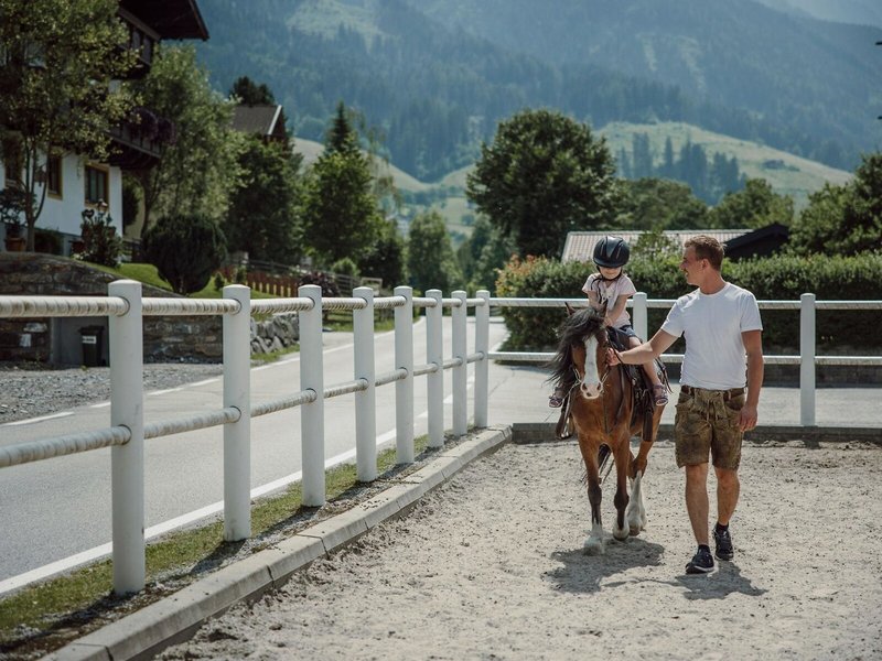 Landhotel Lerch Plankenau 45