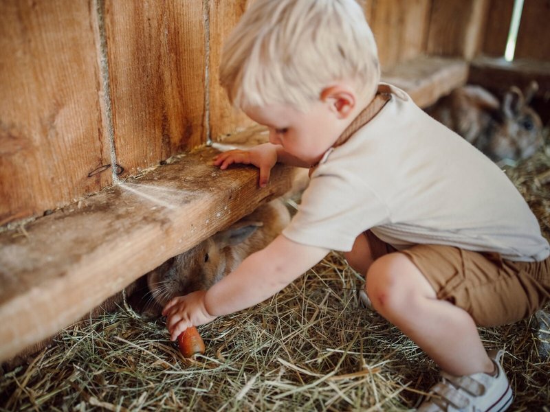 Landhotel Lerch Plankenau 49