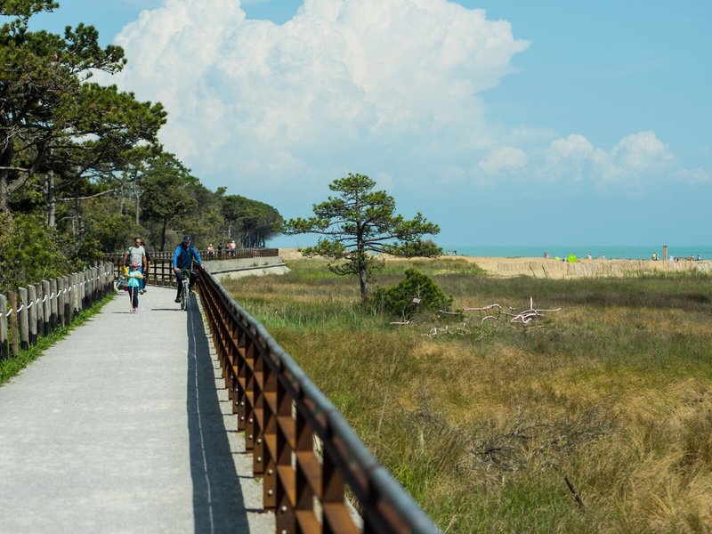 Residenza Le Altane 8 - Beach