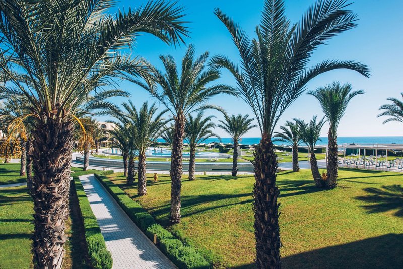 Iberostar Averroes 8