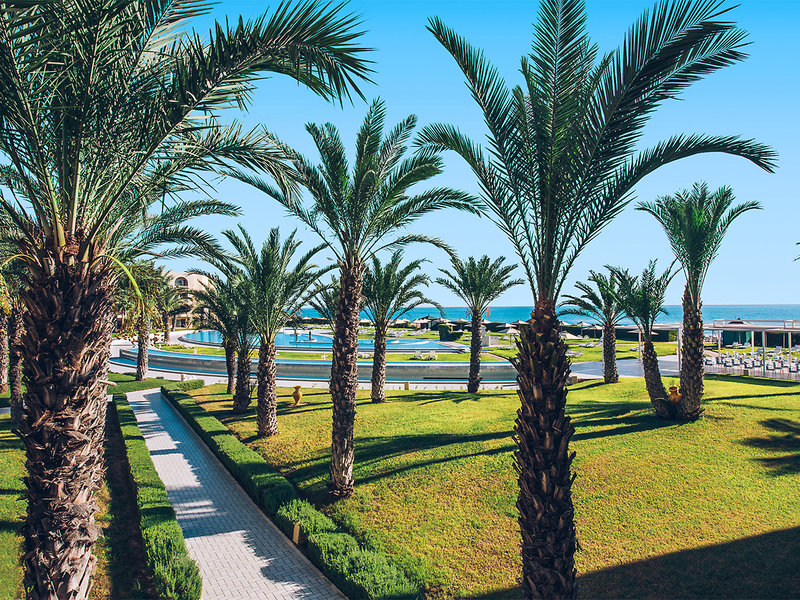 Iberostar Averroes 12